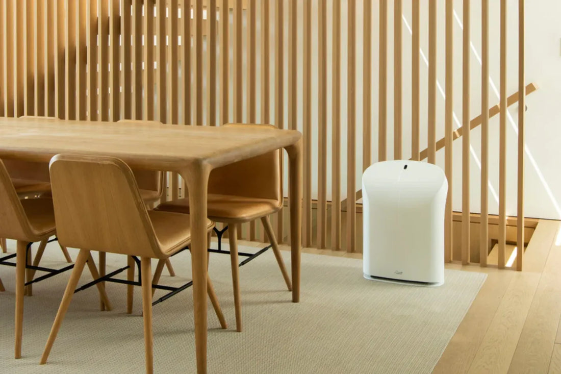 The Best Air Purifiers