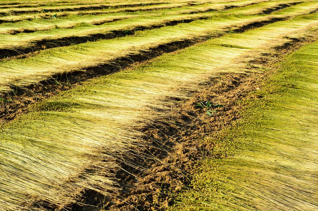 Designer's Guide to Green Certifications