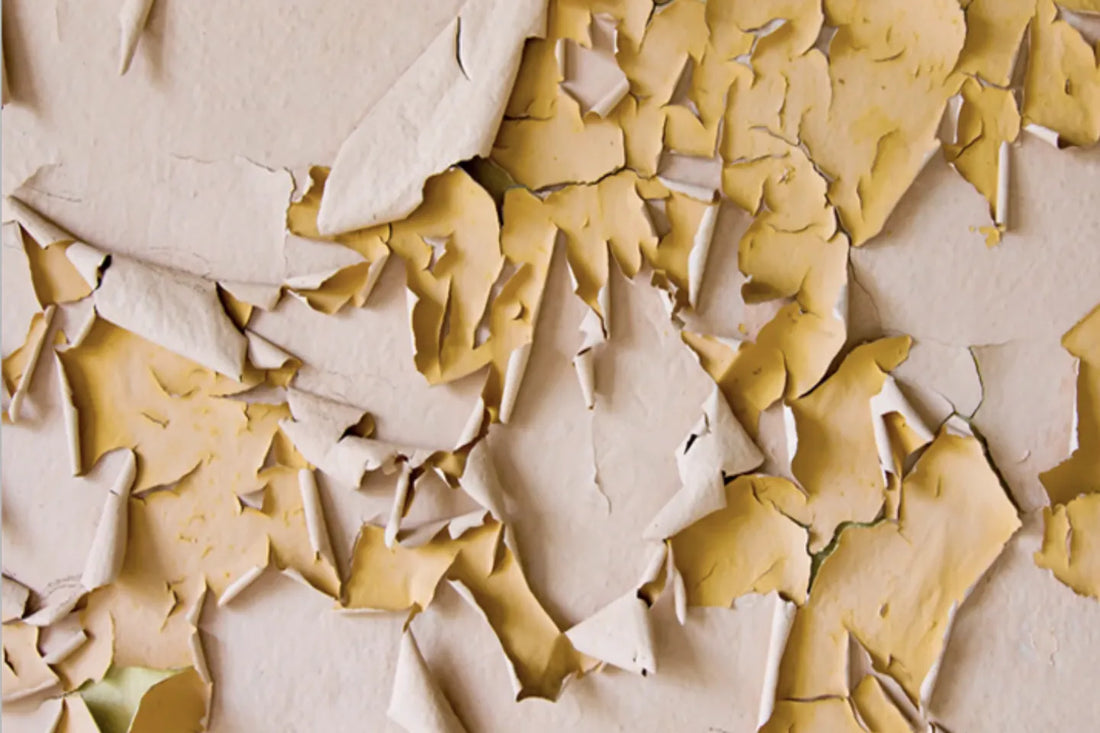 Peeling Back the Truth On What’s In Conventional Paint