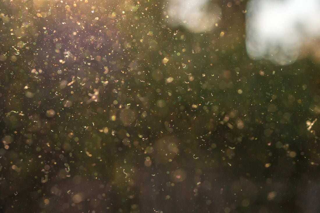 When the Dust Settles: Clearing the Air for a Healthier Home