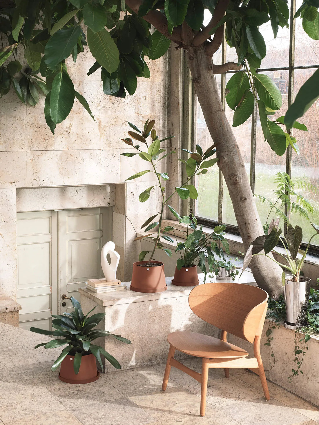 The Best Houseplants for Improving Indoor Air Quality