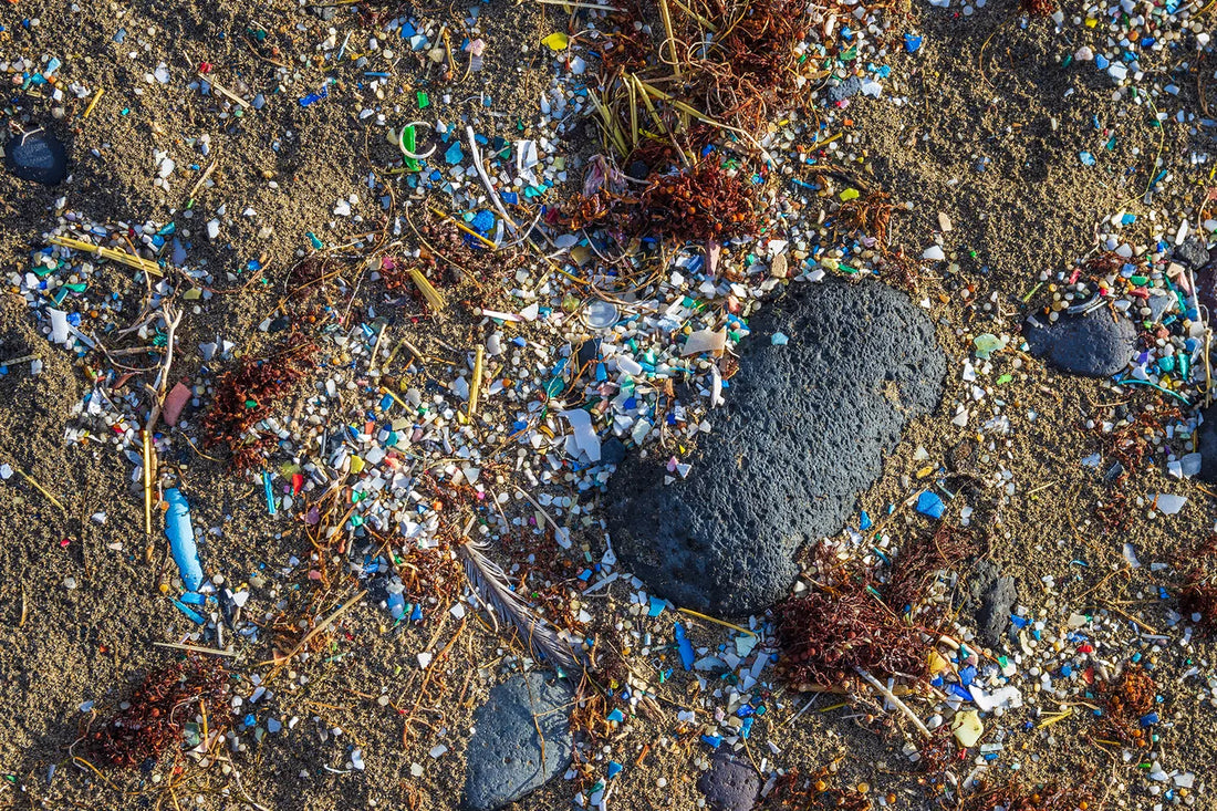 Understanding Microplastics: What They Are and What You Can Do About Them