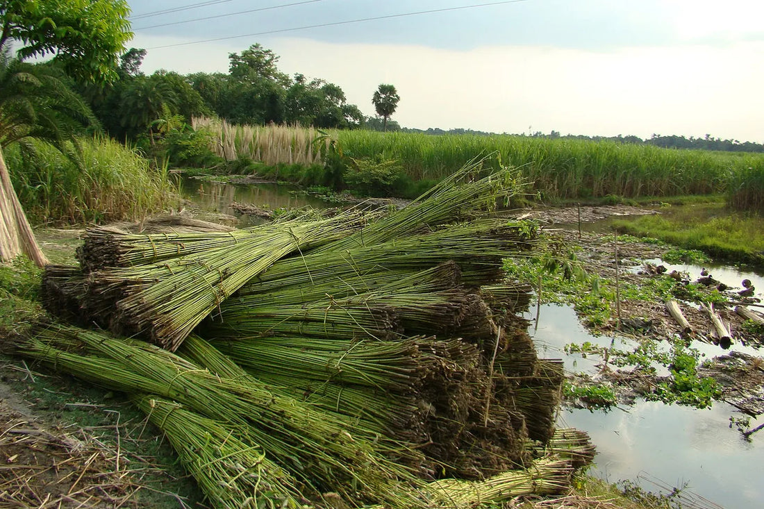 The Provenance of Craft: Natural Materials and Their Cultural Roots