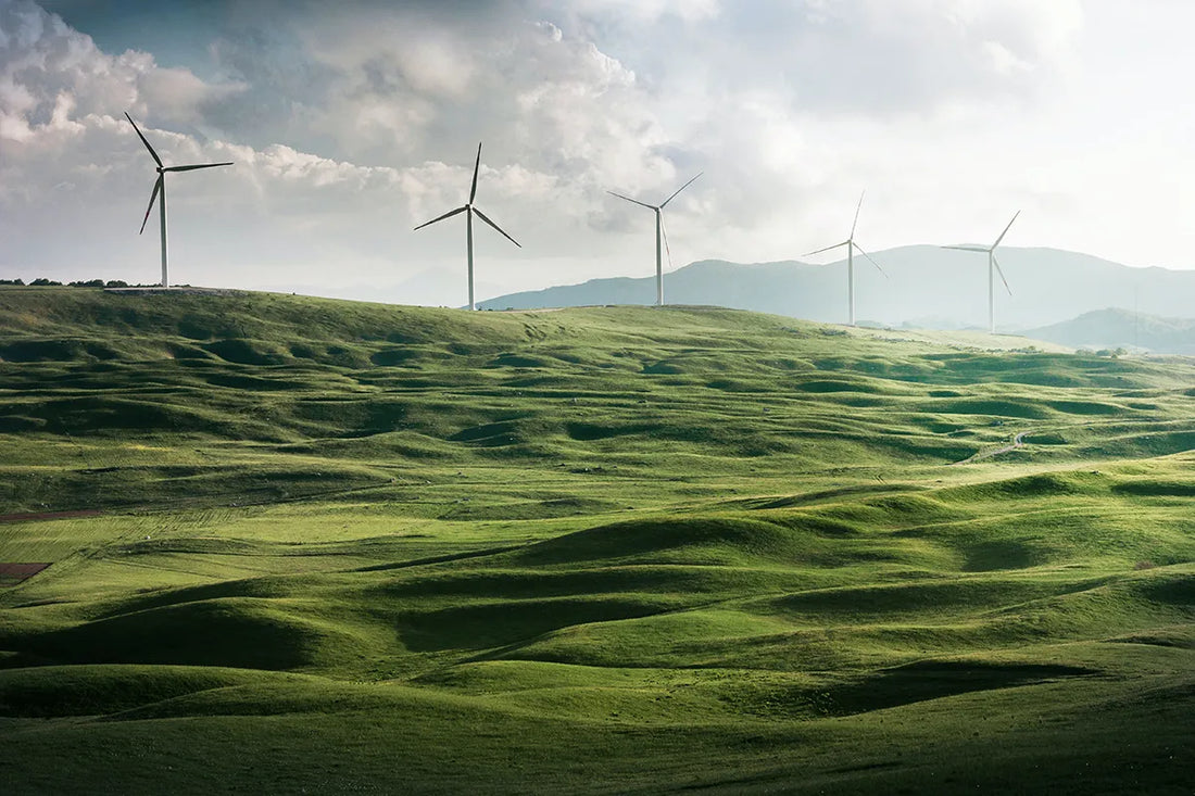 Green Certifications: Cradle to Cradle (C2C)