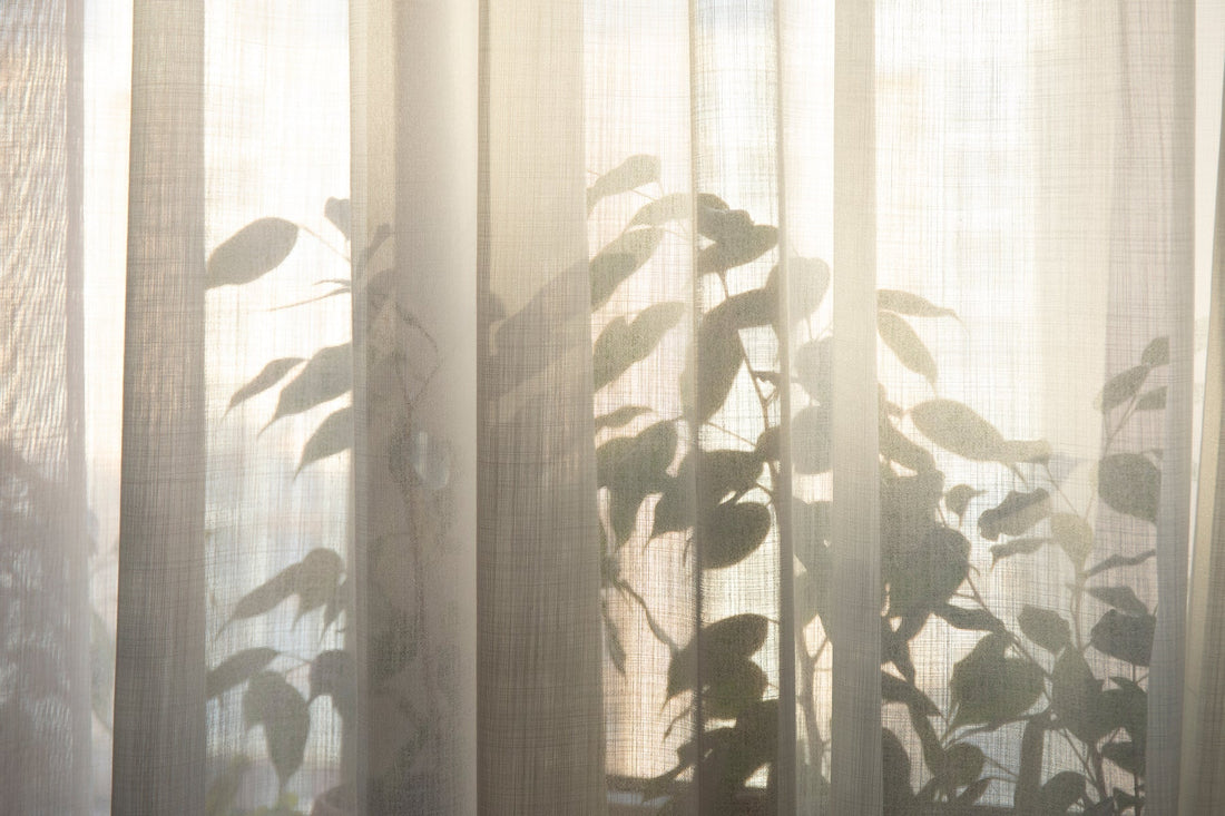 The Impact of Indoor Air Quality on Asthma and Allergies