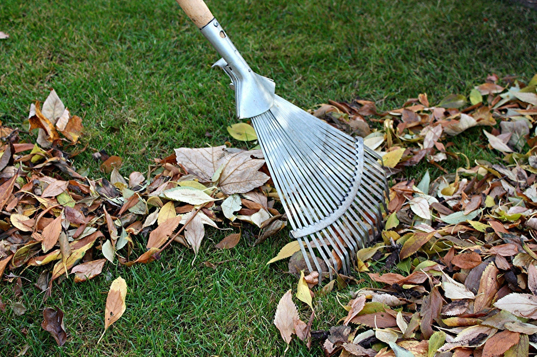 Preparing Your Home for a Healthy Autumn