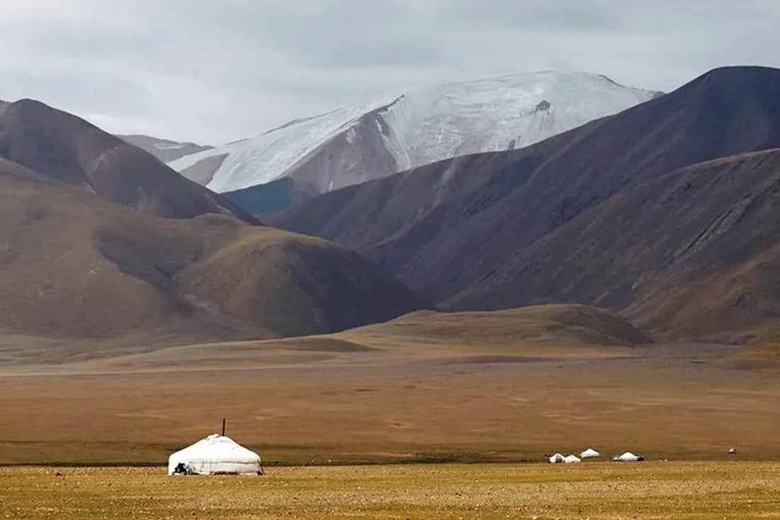 From the Workshop to the World: The Sustainability of Global Craft