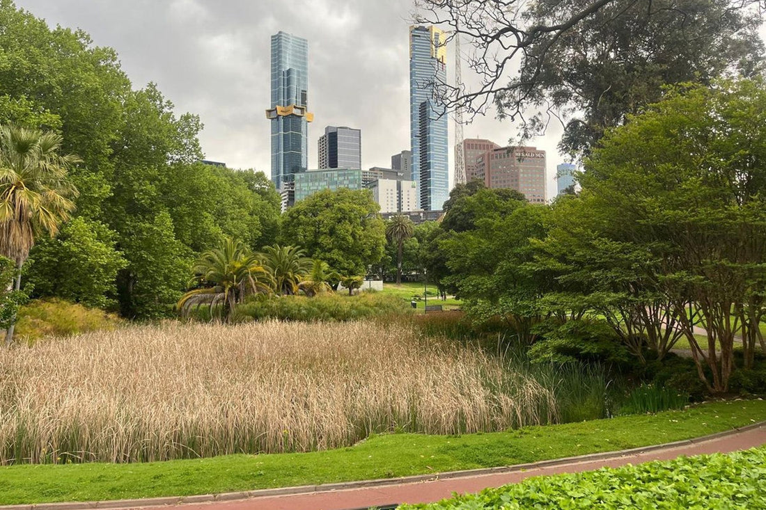 WLLW’s Global Guide: Wellness and Sustainability Destinations