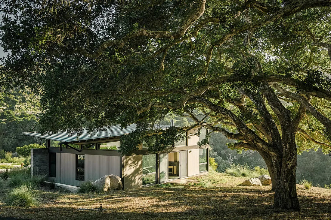 Sustainable Comfort: Ways to Manage Extreme Heat and Cool Your Home