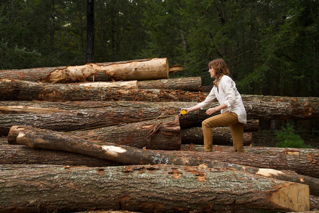 WLLW Round-Up: Our Top Articles of 2025