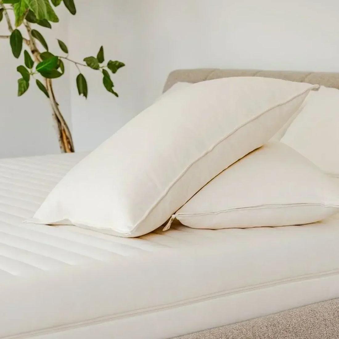 Obasan: Sleep as It Should Be