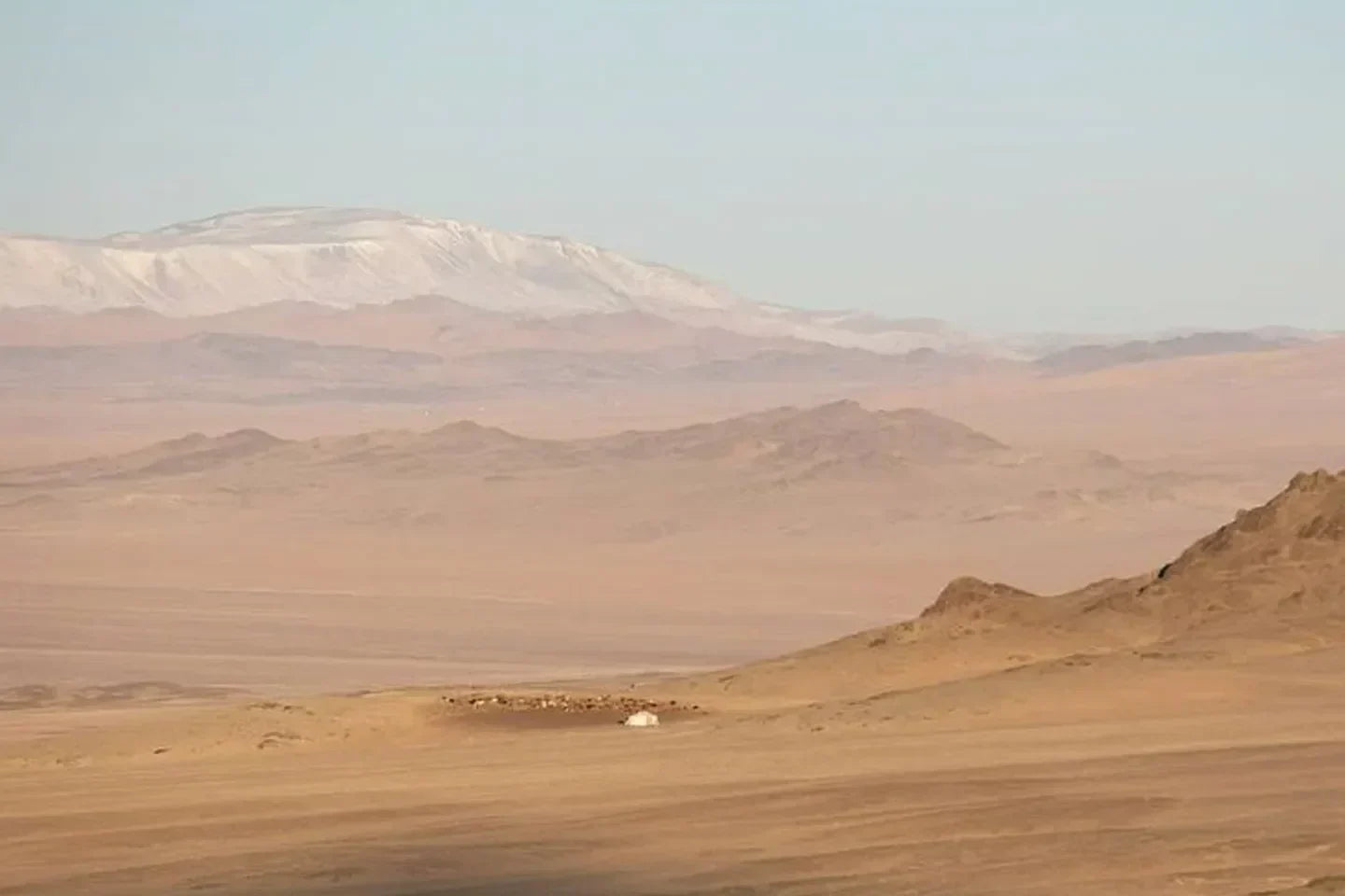 Oyuna’s Ethical Journey from Land to Loom