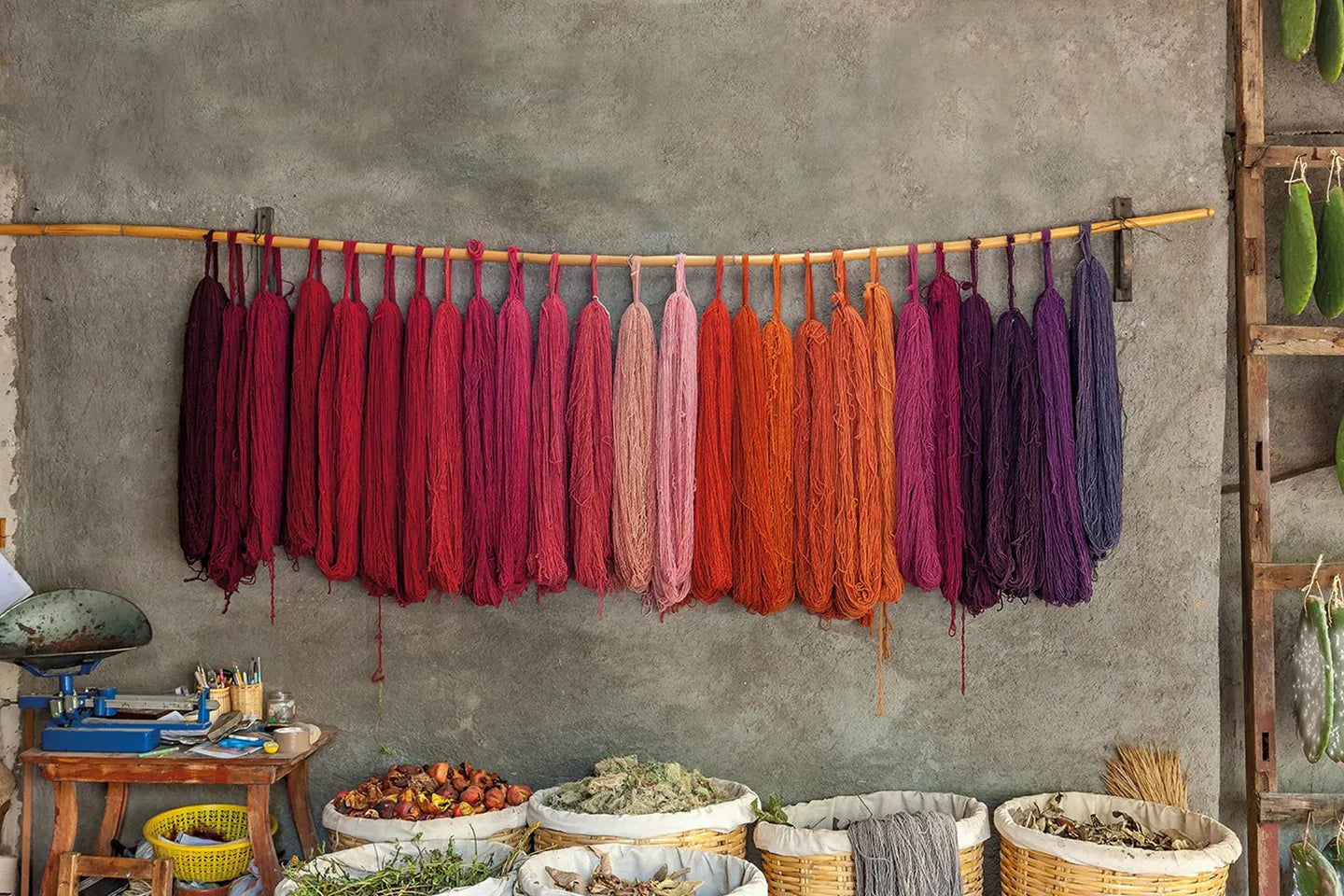 The Hidden Costs of Synthetic Dyes: Health Risks, Environmental Impact and Sustainable Alternatives