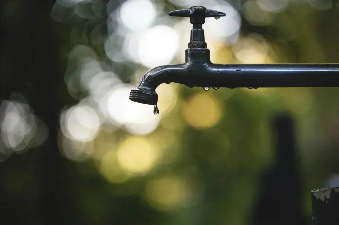 The Necessity of Purity: The Essential Role of Water Filtration in the Home