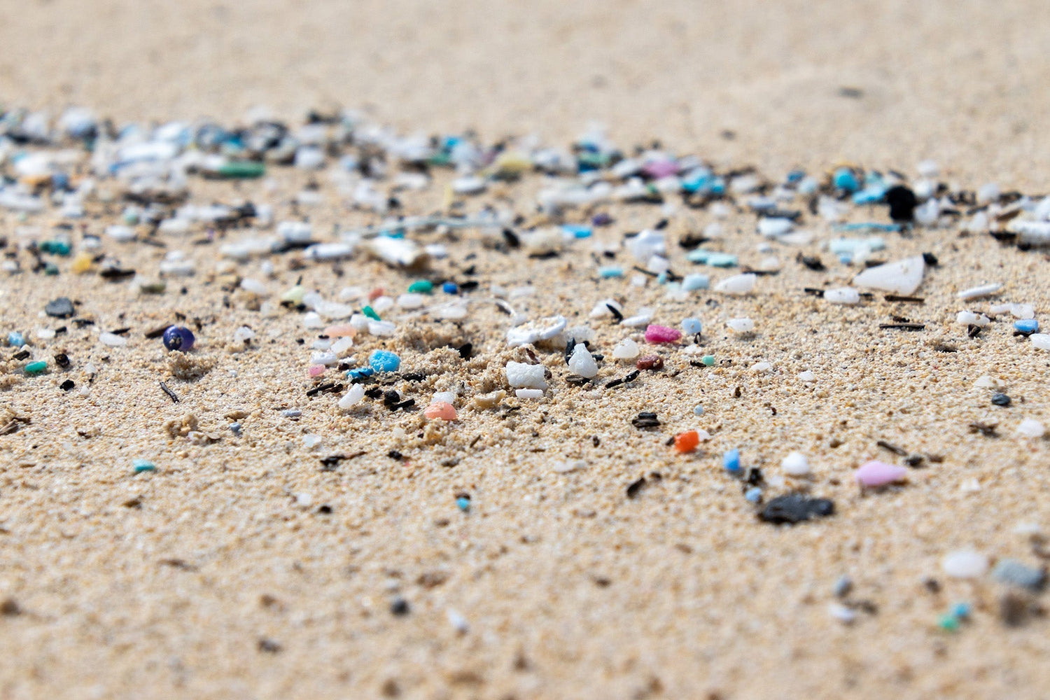 Start Here: Microplastics