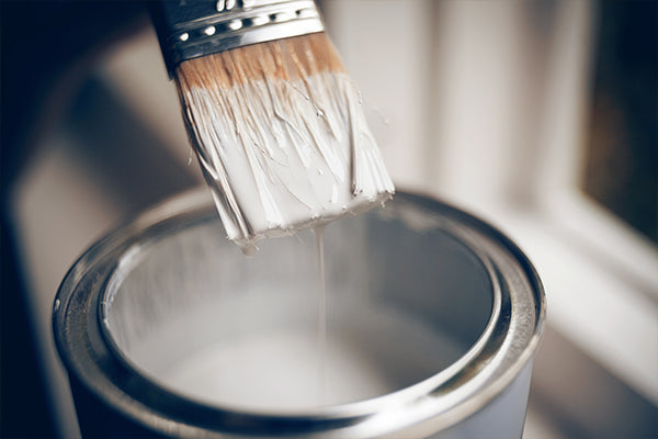 Start Here: Paint
