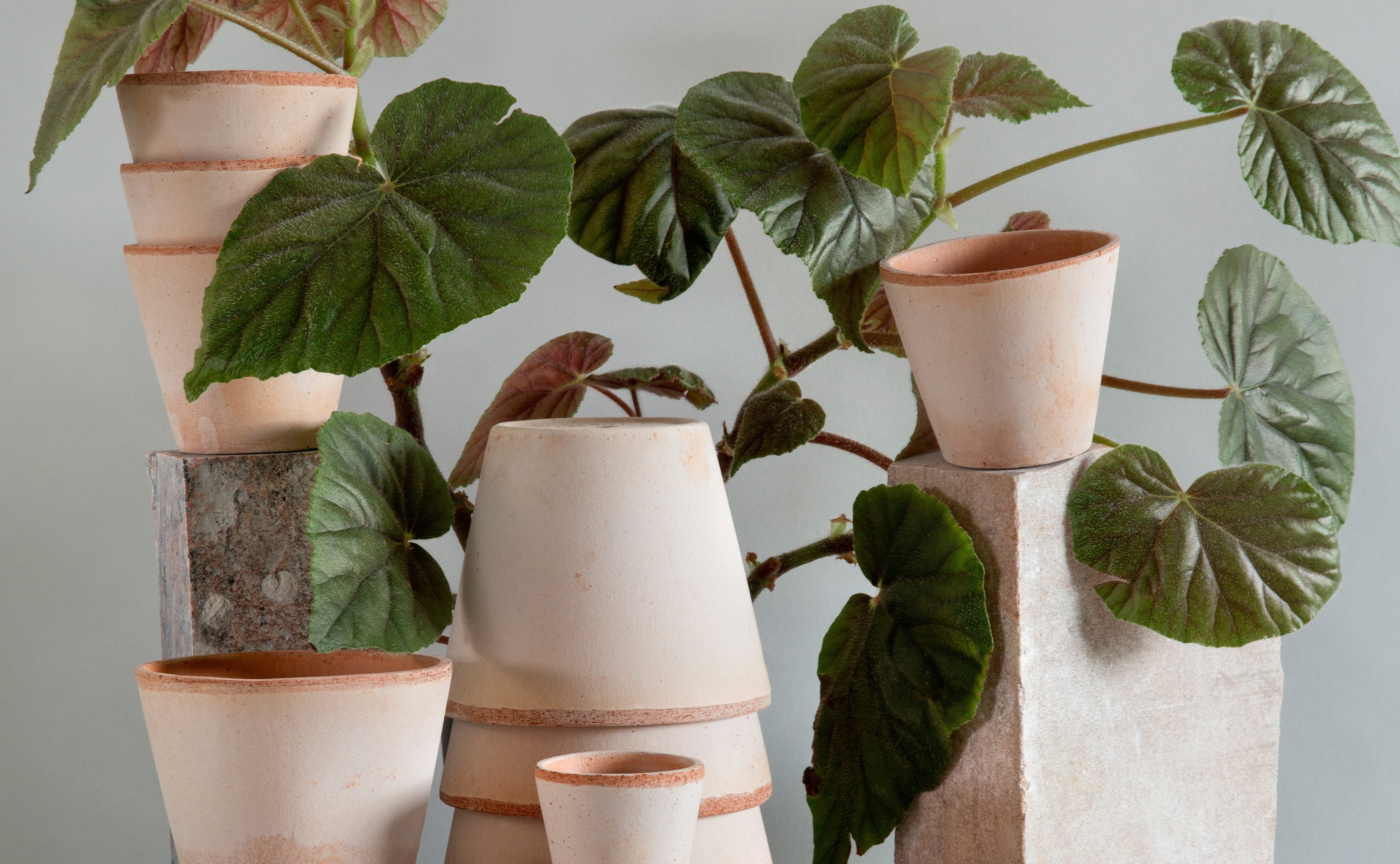 Mother's Day Gift Guide