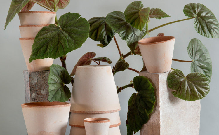 Mother's Day Gift Guide
