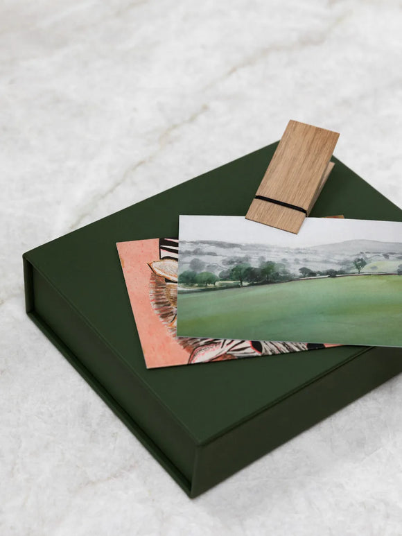 The Medium Box, Cactus