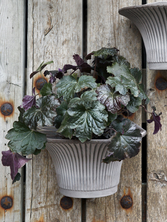 Daisy Pot, Grey Terracotta