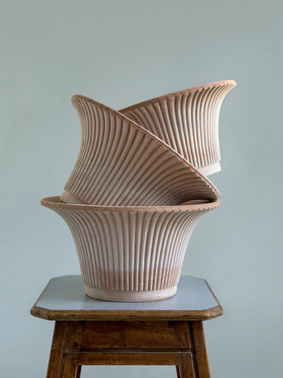 Daisy Pot, Rosa Terracotta