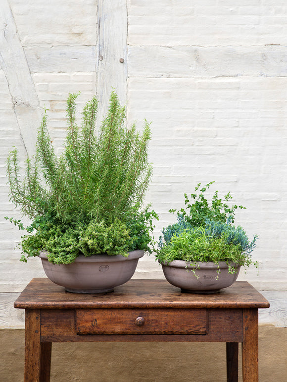 Erbe Bowl, Grey Terracotta