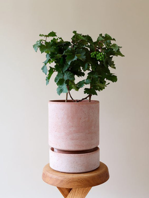Hoff Plant Pot, Rosa Terracotta