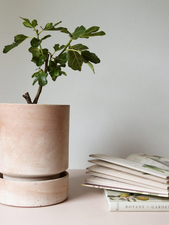 Hoff Saucer, Rosa Terracotta