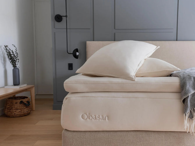Organic Latex Rubber Pillow
