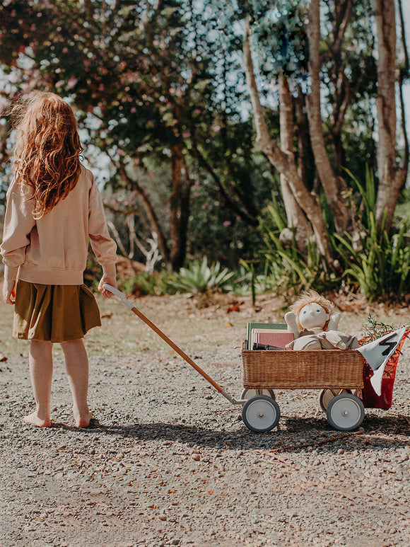 Rattan Wonder Wagon