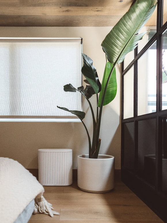 The Windmill Air Purifier