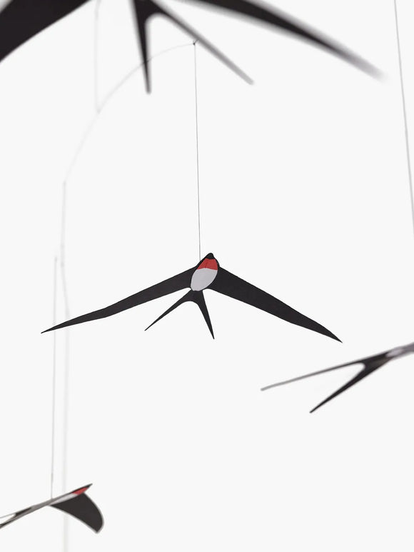 Flying Swallows 5