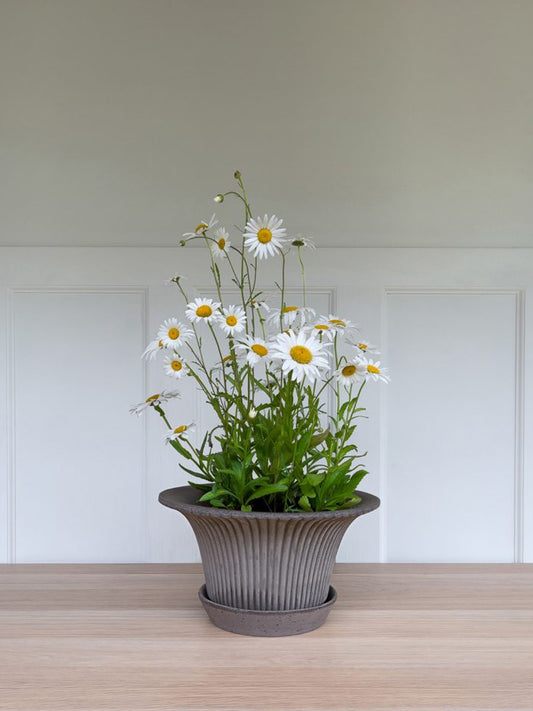Daisy Pot, Grey Terracotta - WLLW - clay pots
