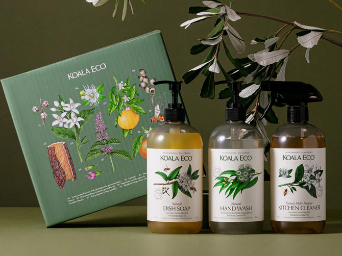 Nature Studies Gift Set