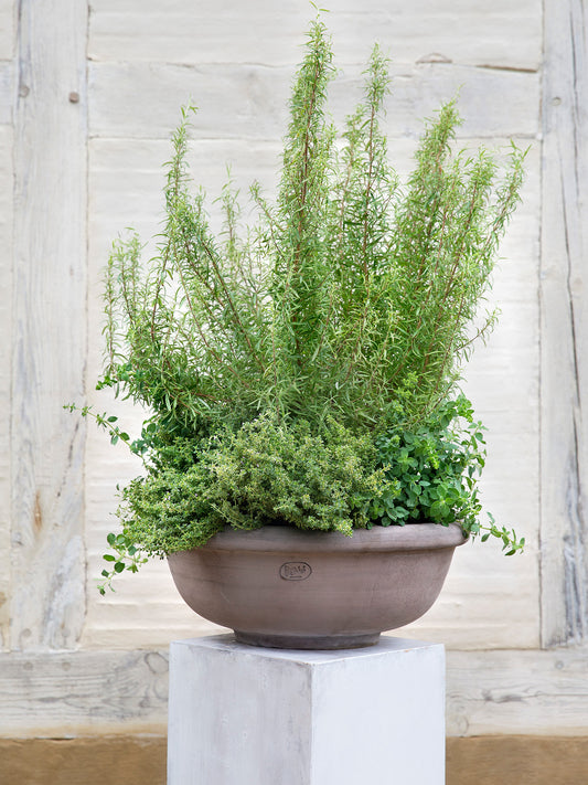 Erbe Bowl, Grey Terracotta - WLLW - handmade terracotta pots