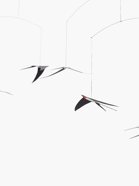 Flying Swallows 5